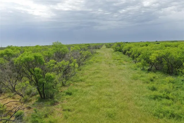 a view of a field of grass and trees