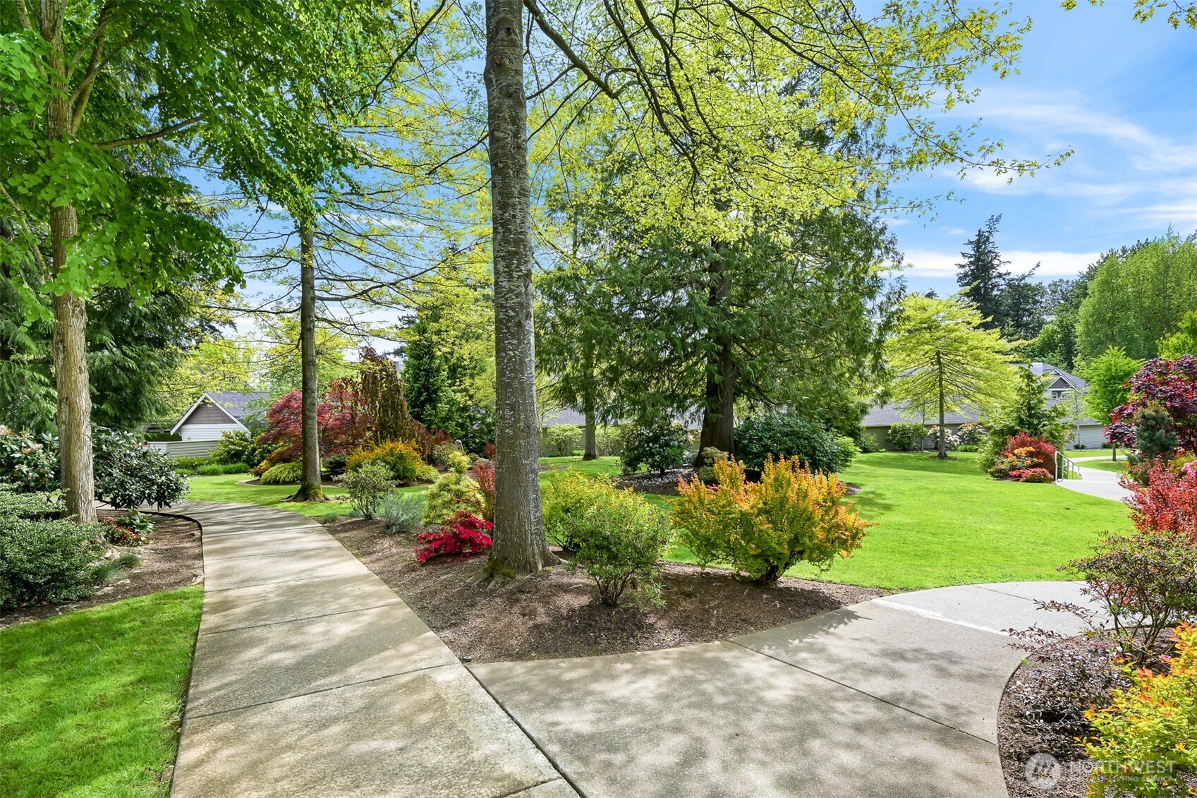 4579 El Dorado Way, Unit 107 Bellingham, WA 98226 - Photo 36 of 40 a view of a park with large trees