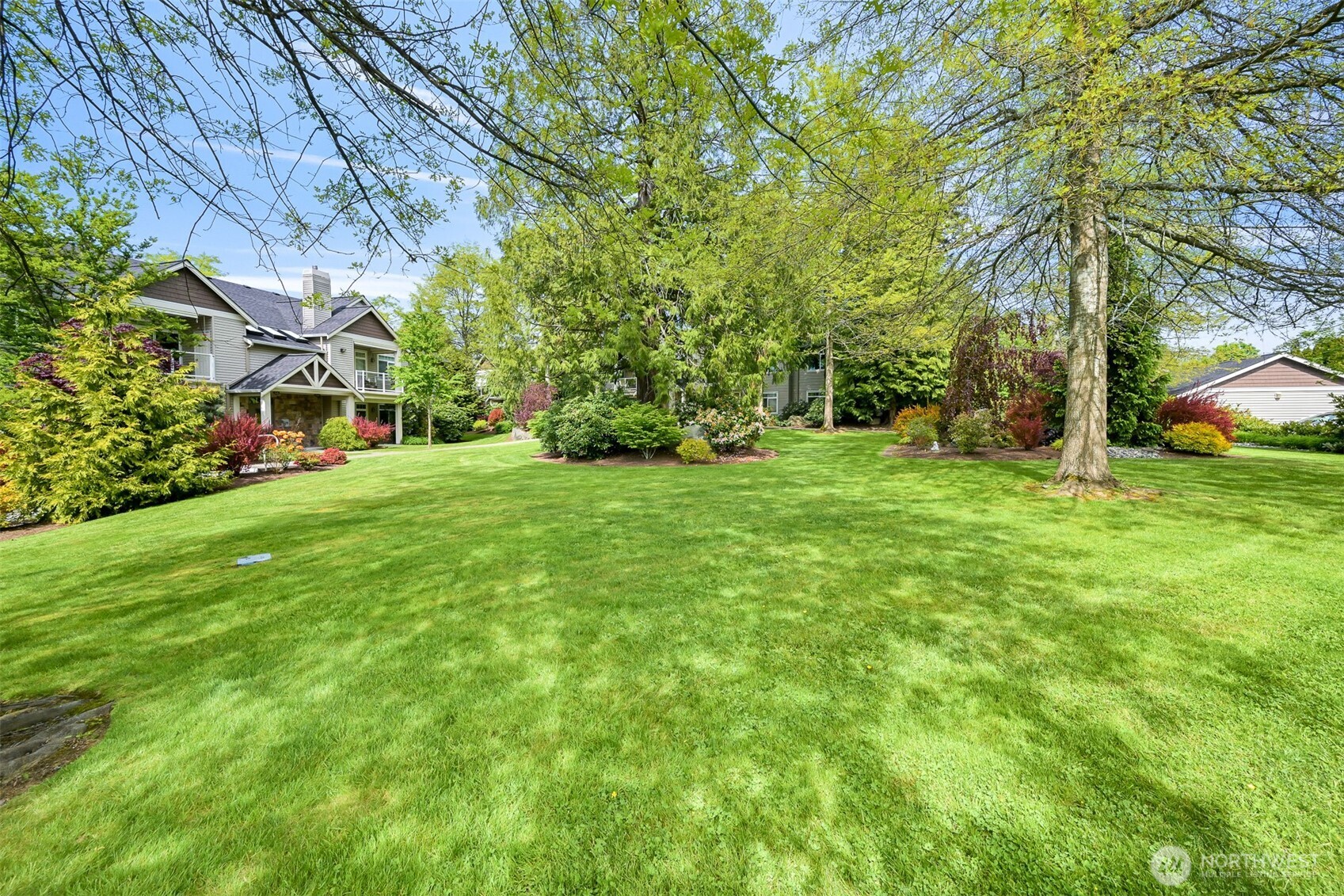 4579 El Dorado Way, Unit 107 Bellingham, WA 98226 - Photo 37 of 40 a view of a trees with a big yard