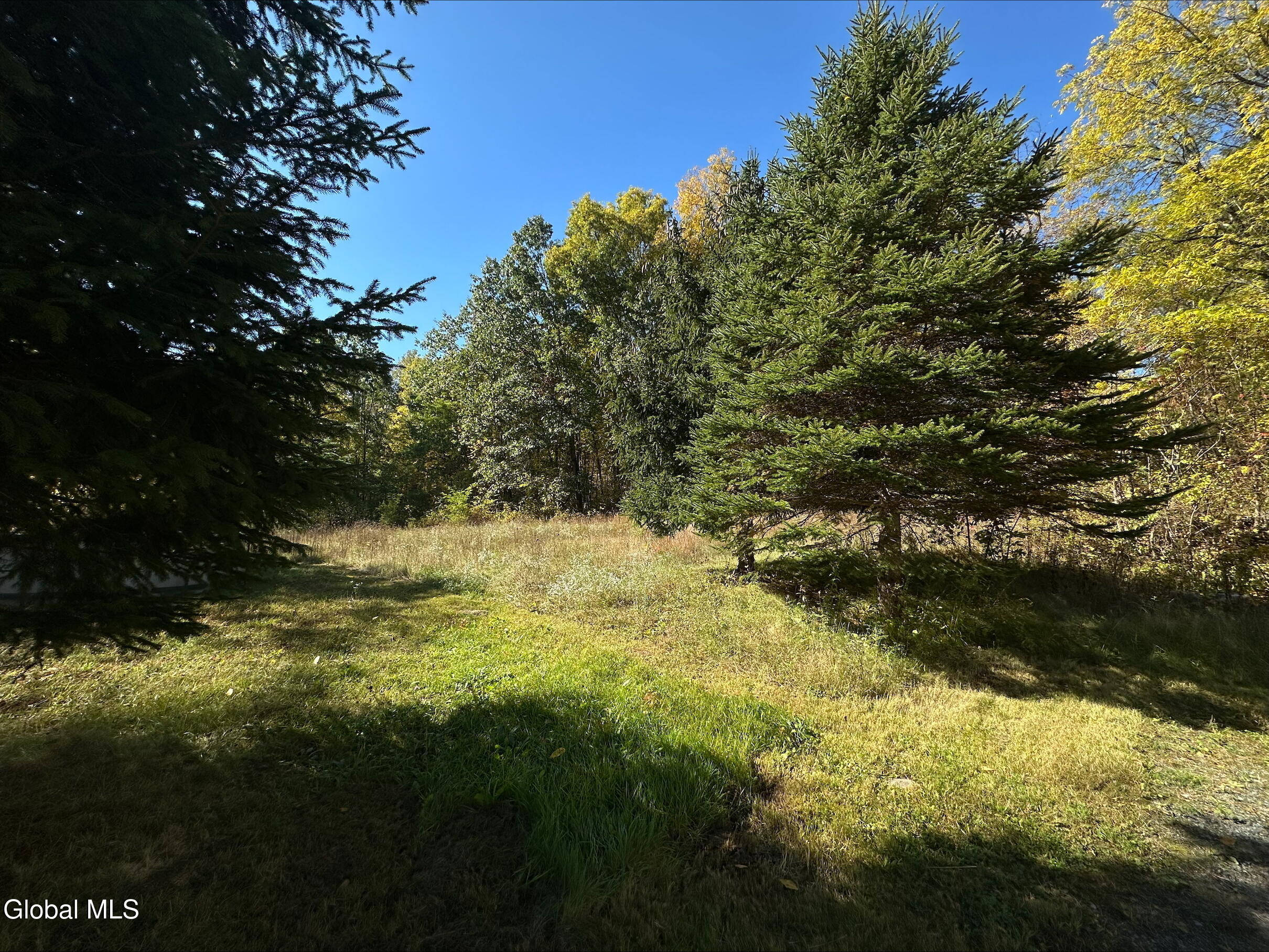 273 Gansevoort Road Gansevoort, NY 12831 - Photo 14 of 15 processed-36CD1358-A08F-4E6B-8EEE-A51788