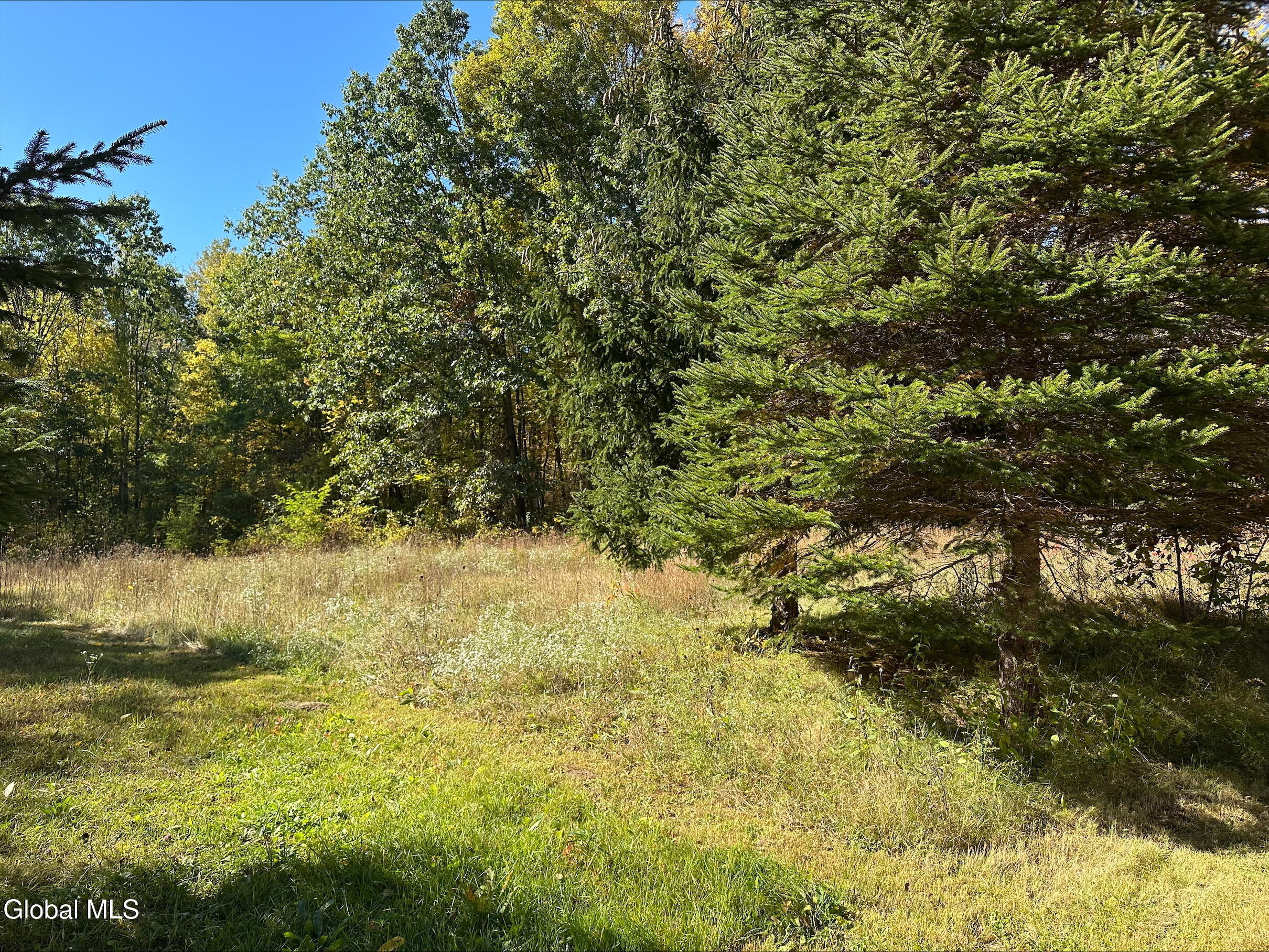 273 Gansevoort Road Gansevoort, NY 12831 - Photo 15 of 15 processed-D72B4700-1D5C-4C3B-BE59-6B4517