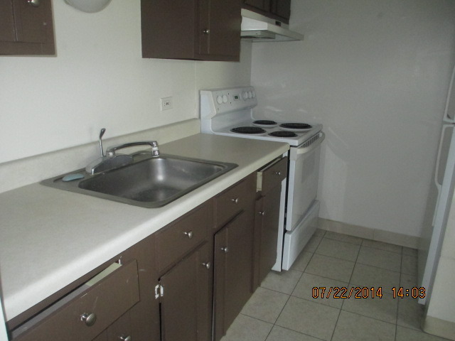 918 Ridge Square, Unit 202 Elk Grove Village, IL 60007 - Photo 3 of 6 a kitchen with a sink and cabinets