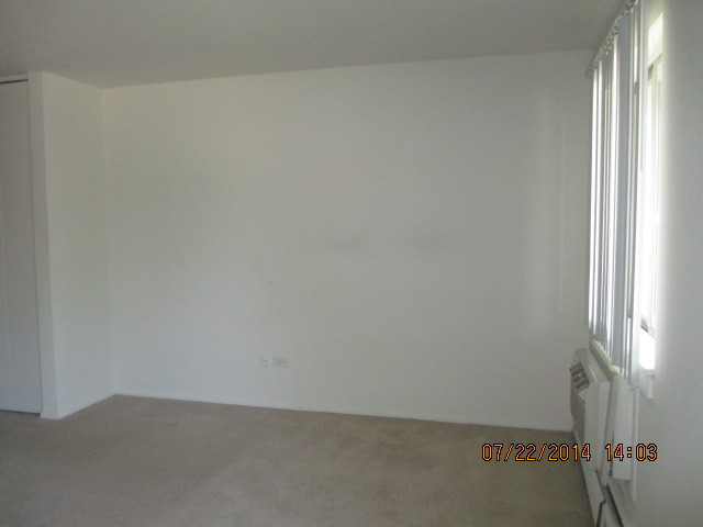 918 Ridge Square, Unit 202 Elk Grove Village, IL 60007 - Photo 5 of 6 a view of an empty room
