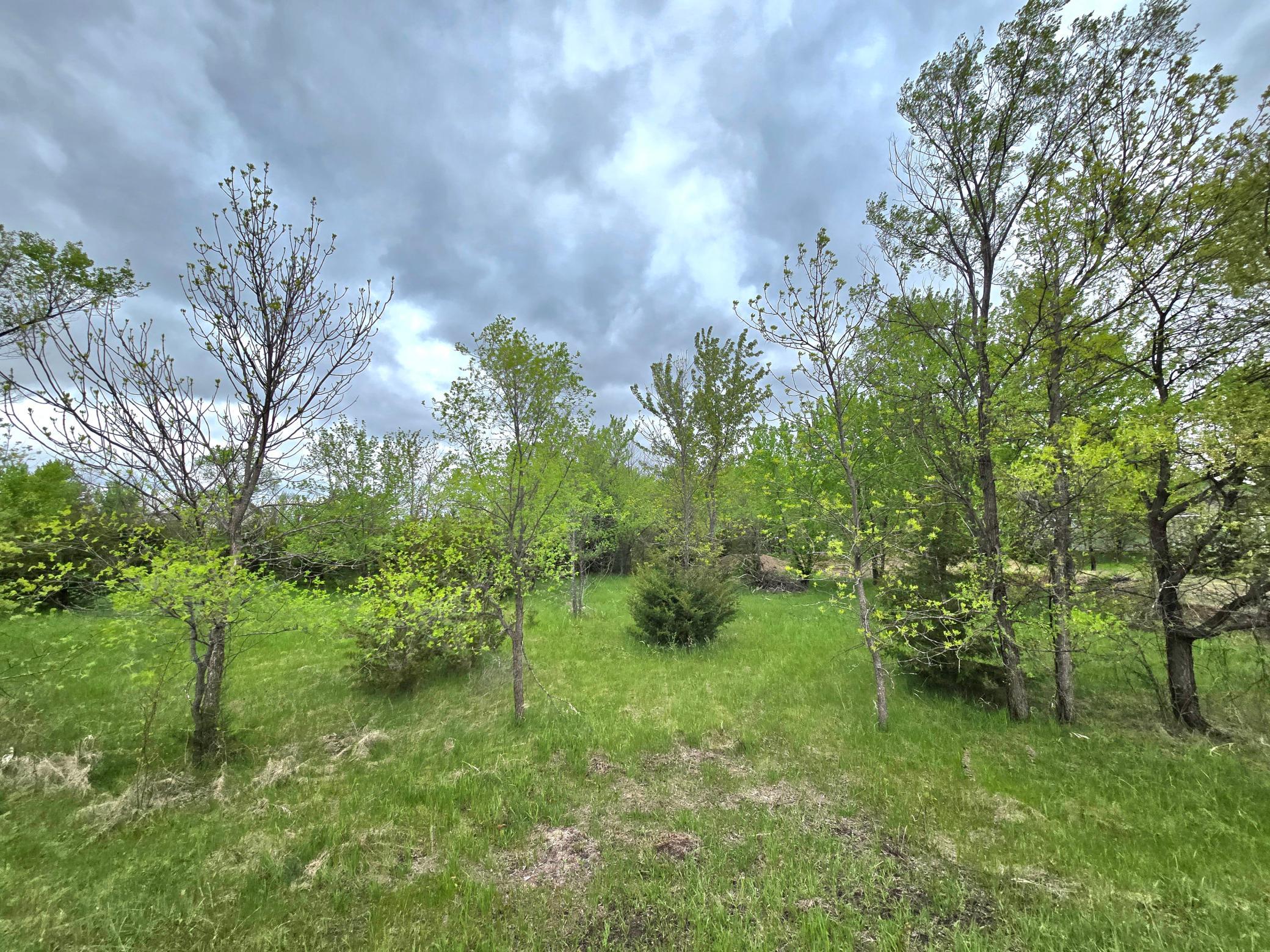 316 Woods Edge Road Clearwater, MN 55320 - Photo 3 of 9