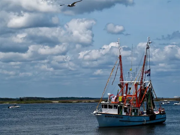 a view of a ocean view