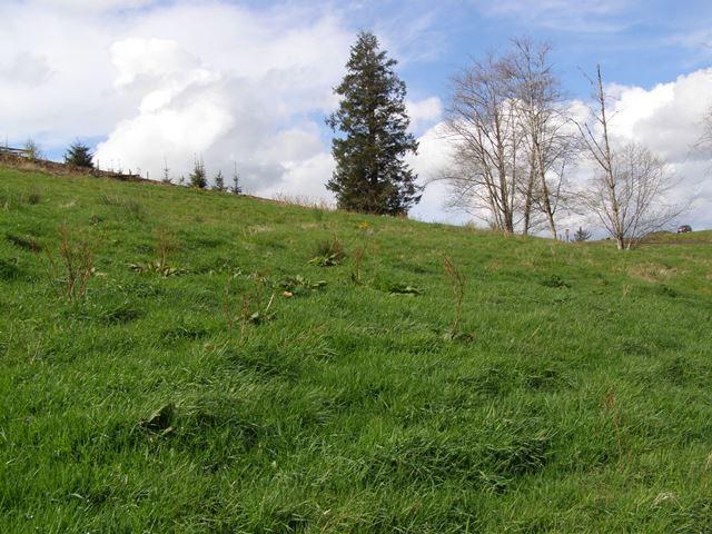 23 Skyview Road Tillamook, OR 97141 - Photo 13 of 41 P3180283