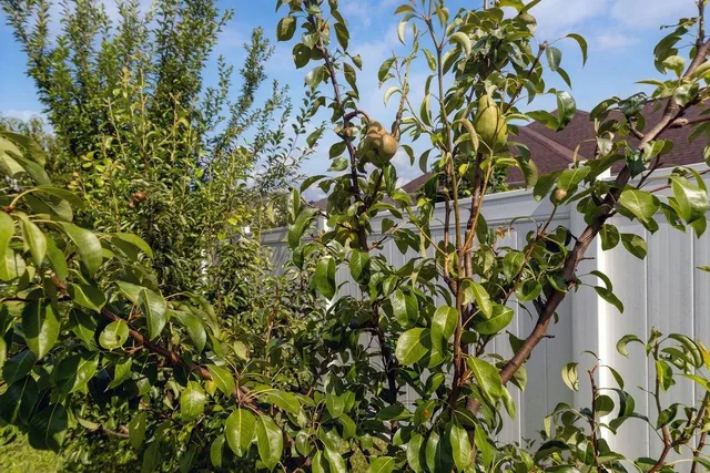 $749,900 | 1311 Little Sorrell Drive, Harrisonburg, VA 22801