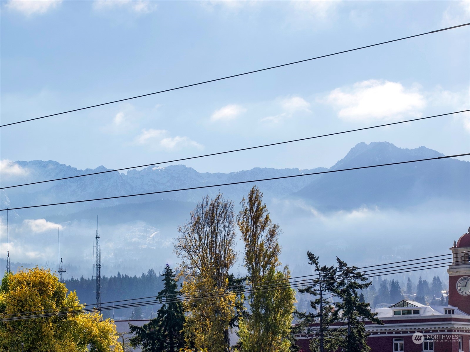 131 East 2nd Street Port Angeles, WA 98362 - Photo 30 of 33 a bathroom with a shower and a plant in it