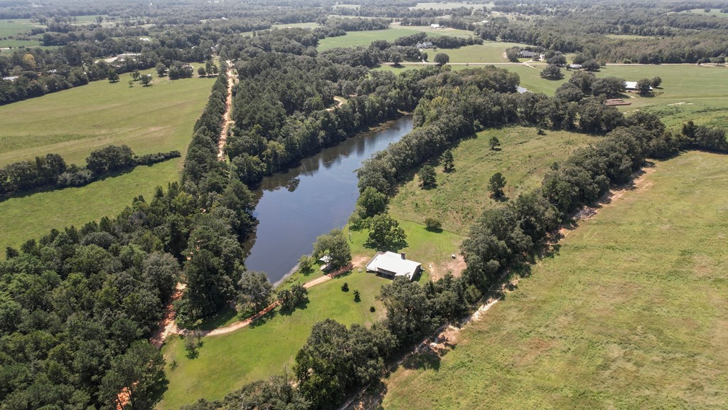 1314 Fern Road Slocomb, AL 36375 - Photo 59 of 68 Pond and Home drone shot