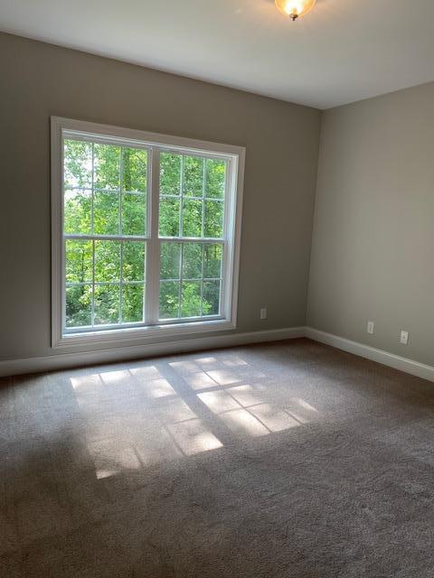 24 Etowah Ridge, Unit 45 Ringgold, GA 30736 - Photo 35 of 71 IMG_0031