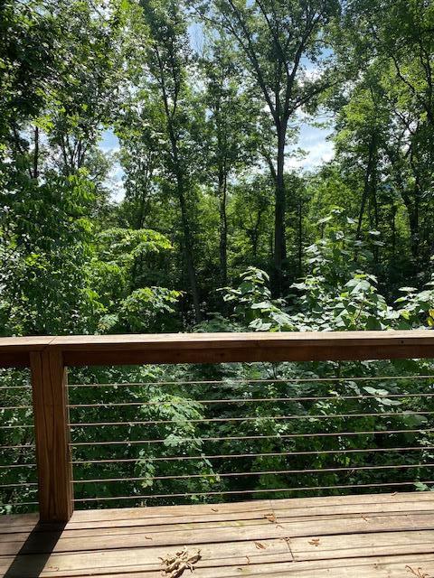 24 Etowah Ridge, Unit 45 Ringgold, GA 30736 - Photo 60 of 71 IMG_0018