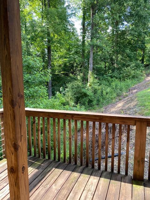 24 Etowah Ridge, Unit 45 Ringgold, GA 30736 - Photo 62 of 71 IMG_0020