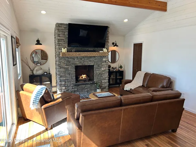 a view of a park with large trees