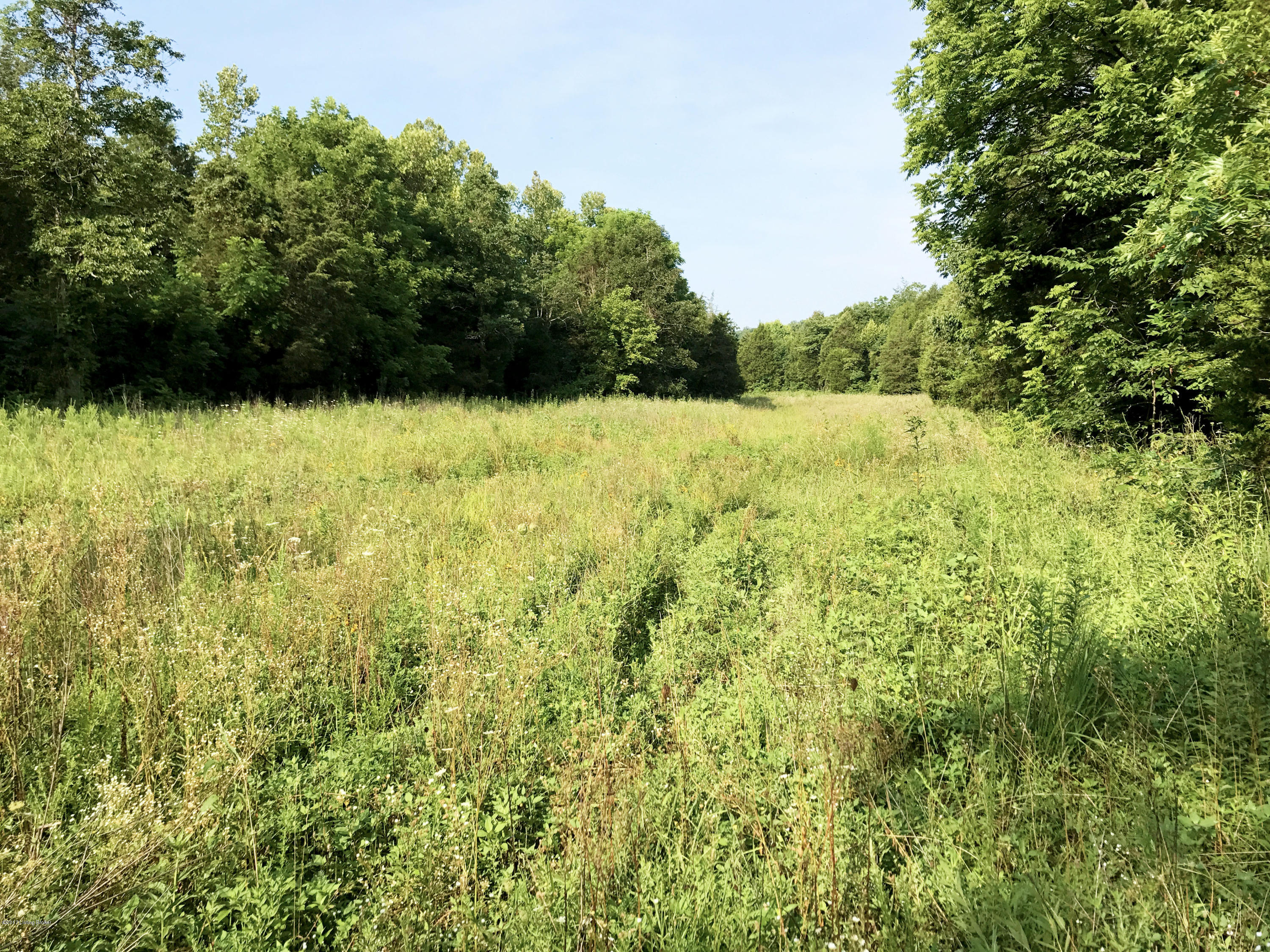 4 870 Branch Road Leitchfield, KY 42754 - Photo 6 of 15 4e