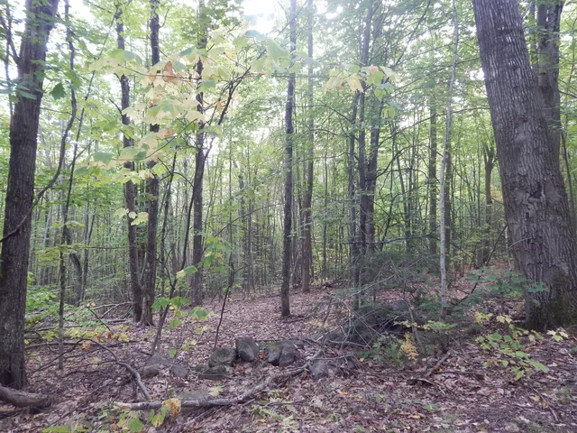 $280,000 | Lot#r13-l50 Corn Hill Road, Brownfield, ME 04010