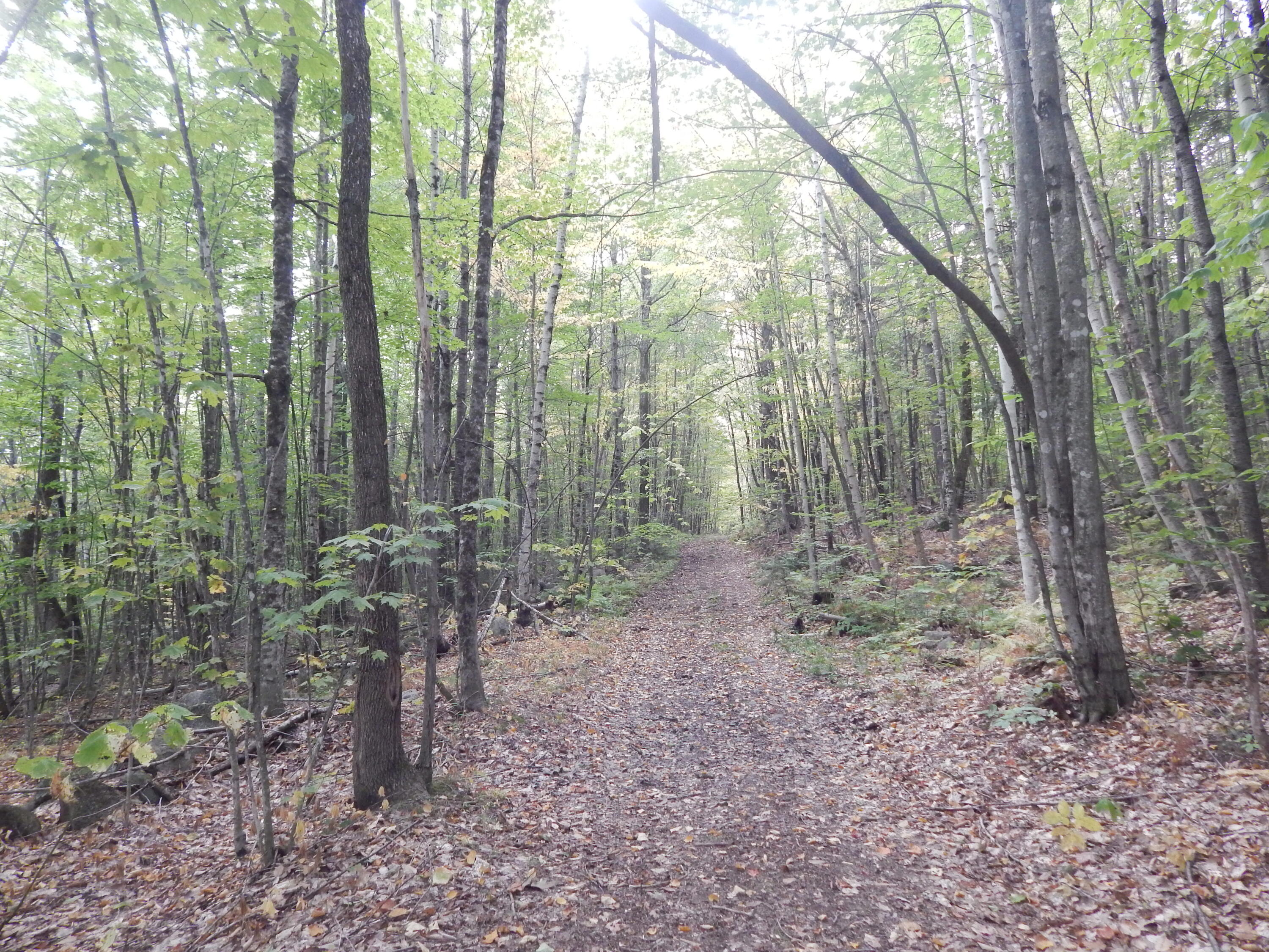 Lot#r13-l50 Corn Hill Road Brownfield, ME 04010 - Photo 4 of 4 DSCN9100