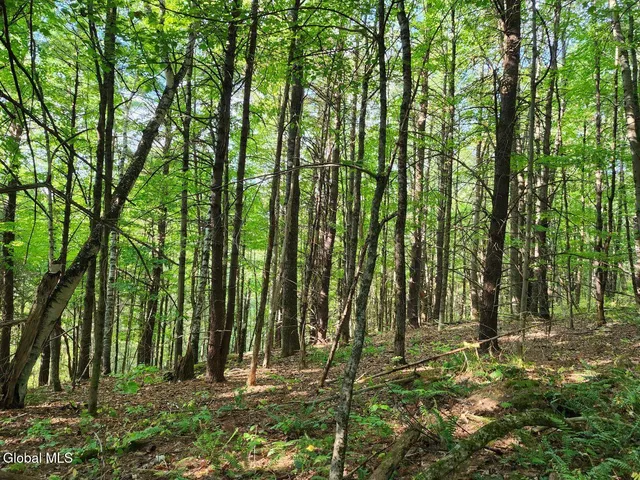 $78,900 | L16.1-16.7 Vly Summit Road, Greenwich, NY 12834