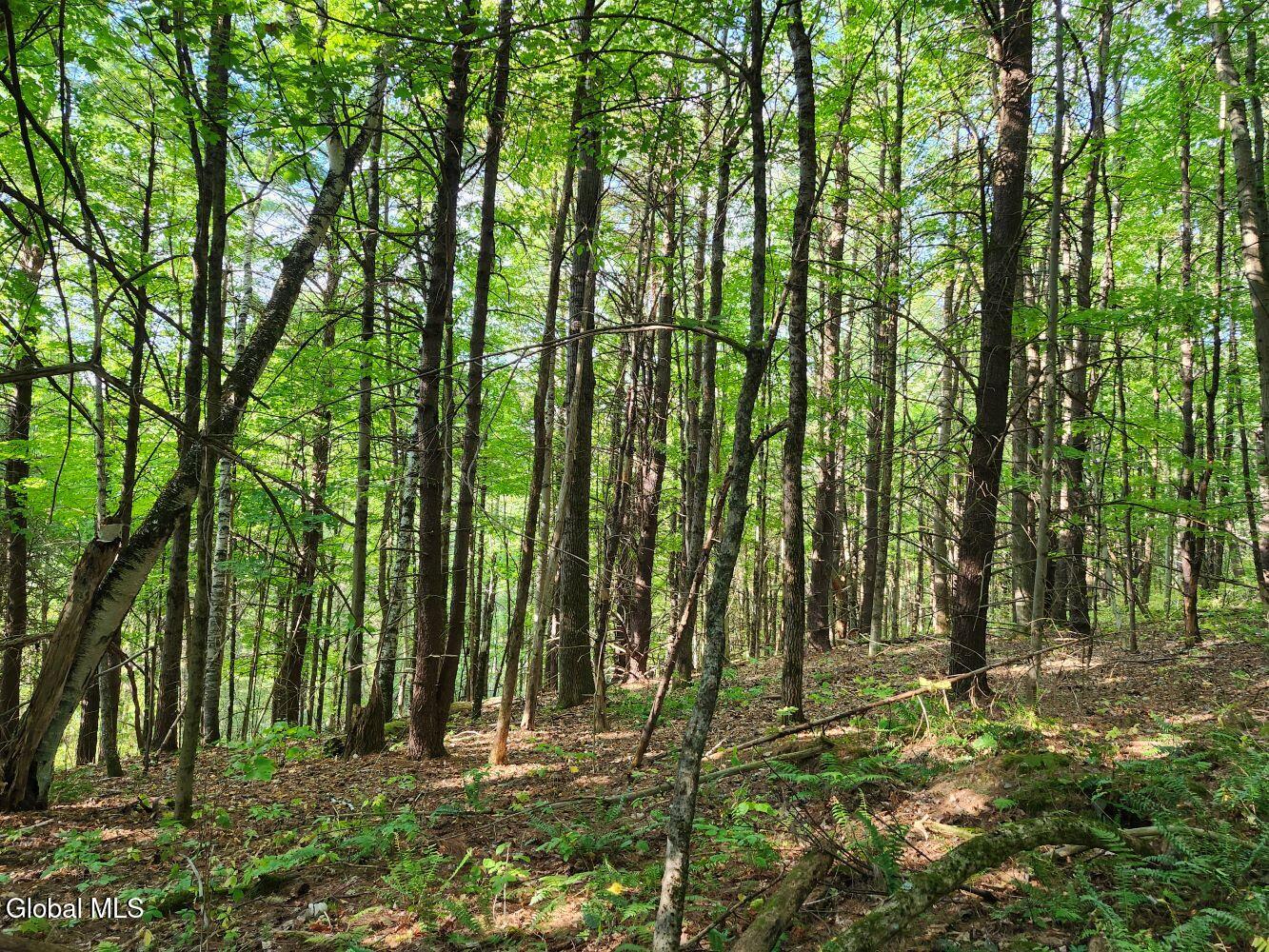 L16.1-16.7 Vly Summit Road Greenwich, NY 12834 - Photo 11 of 13 20250911_164600