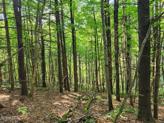 $78,900 | L16.1-16.7 Vly Summit Road, Greenwich, NY 12834