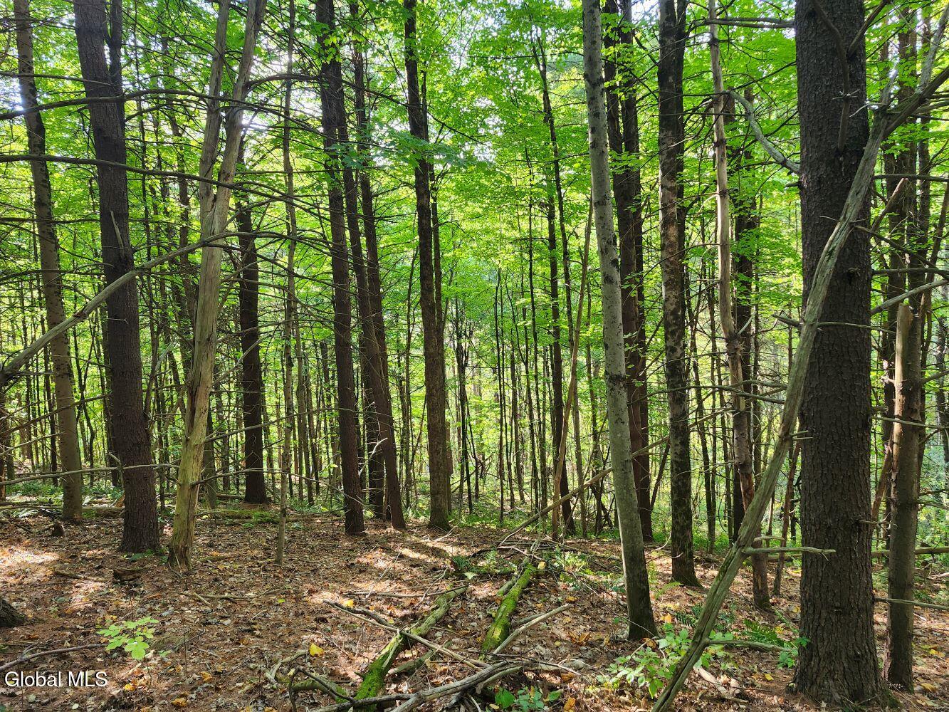 L16.1-16.7 Vly Summit Road Greenwich, NY 12834 - Photo 12 of 13 20250911_164645