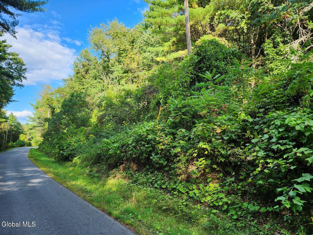 L16.1-16.7 Vly Summit Road Greenwich, NY 12834 - Photo 5 of 13 20250911_163126