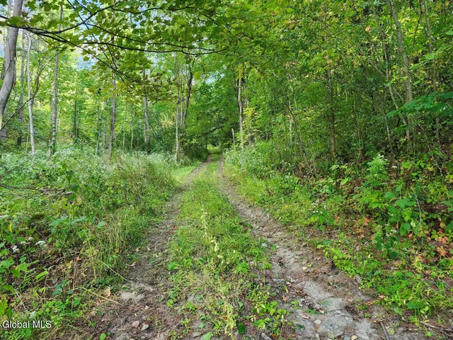 $78,900 | L16.1-16.7 Vly Summit Road, Greenwich, NY 12834