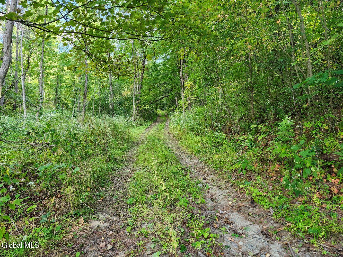 L16.1-16.7 Vly Summit Road Greenwich, NY 12834 - Photo 6 of 13 20250911_163945