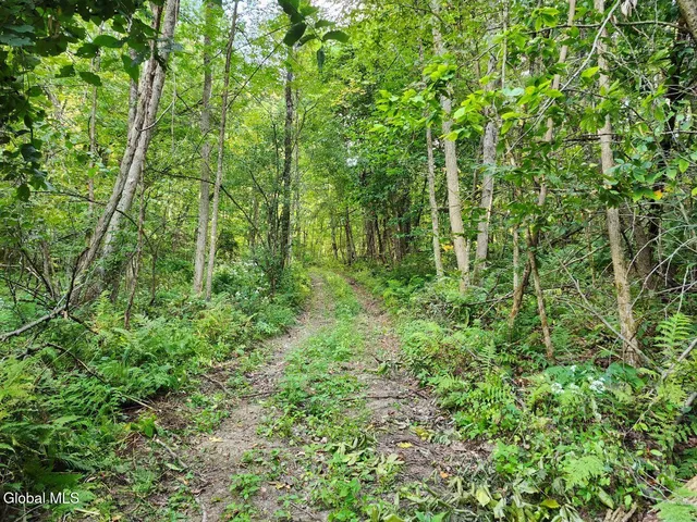 $78,900 | L16.1-16.7 Vly Summit Road, Greenwich, NY 12834