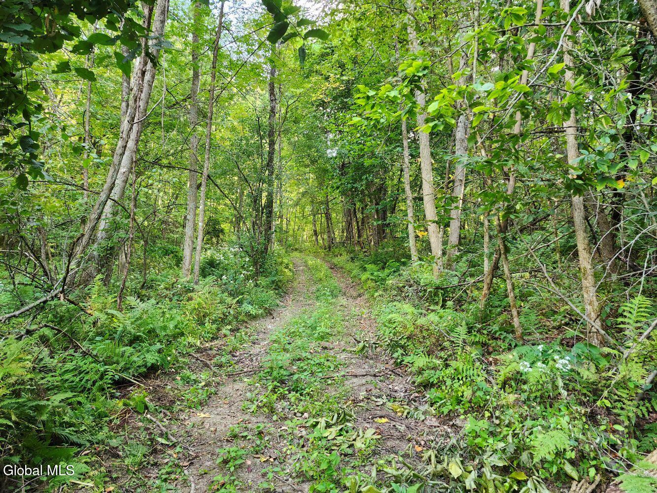 L16.1-16.7 Vly Summit Road Greenwich, NY 12834 - Photo 7 of 13 20250911_164130