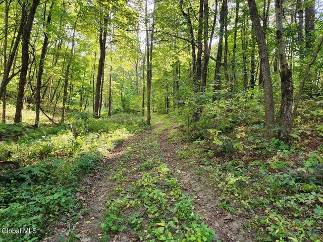 $78,900 | L16.1-16.7 Vly Summit Road, Greenwich, NY 12834