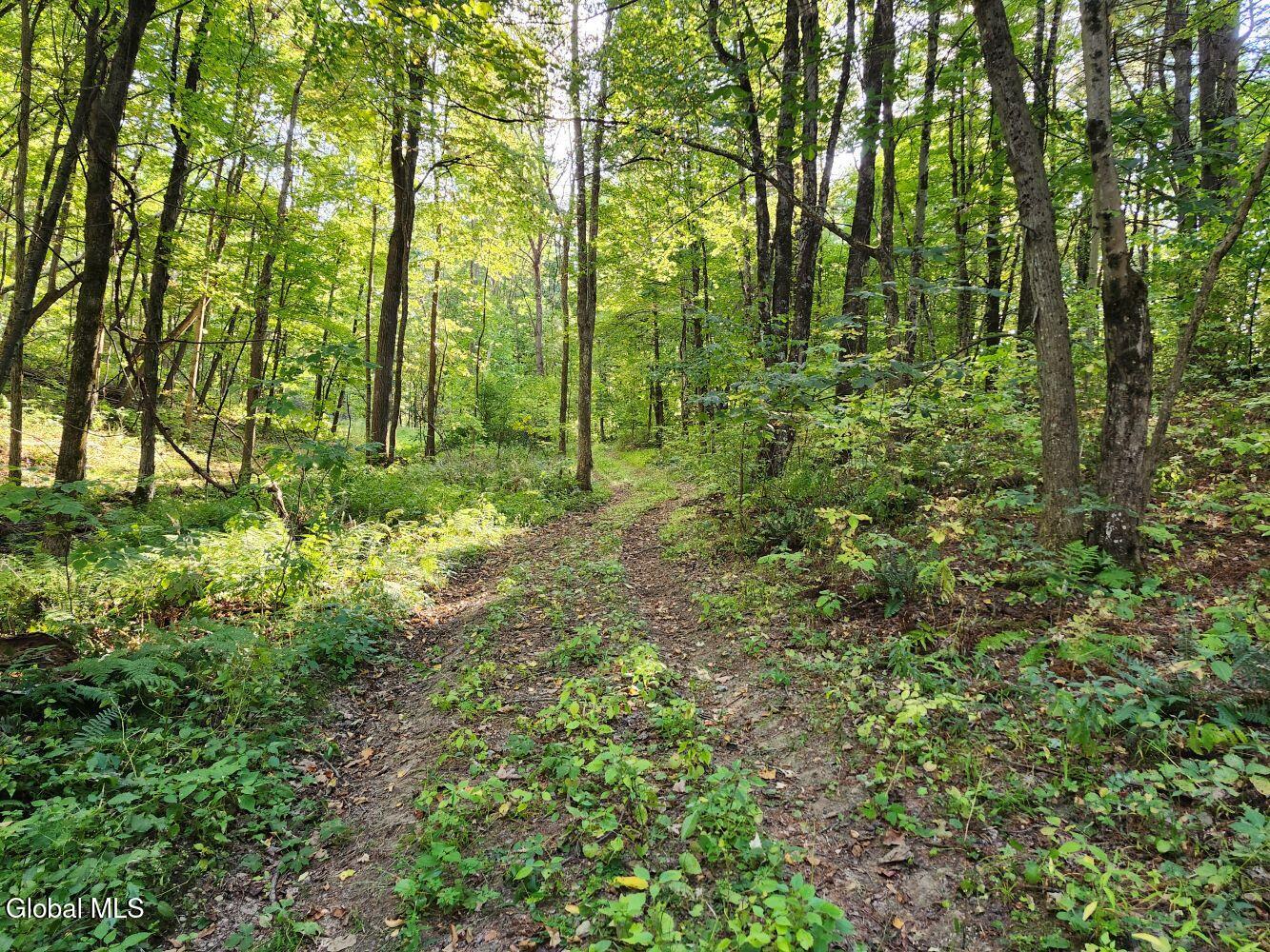 L16.1-16.7 Vly Summit Road Greenwich, NY 12834 - Photo 8 of 13 20250911_164308