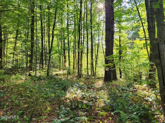 $78,900 | L16.1-16.7 Vly Summit Road, Greenwich, NY 12834