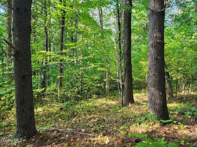 $78,900 | L16.1-16.7 Vly Summit Road, Greenwich, NY 12834