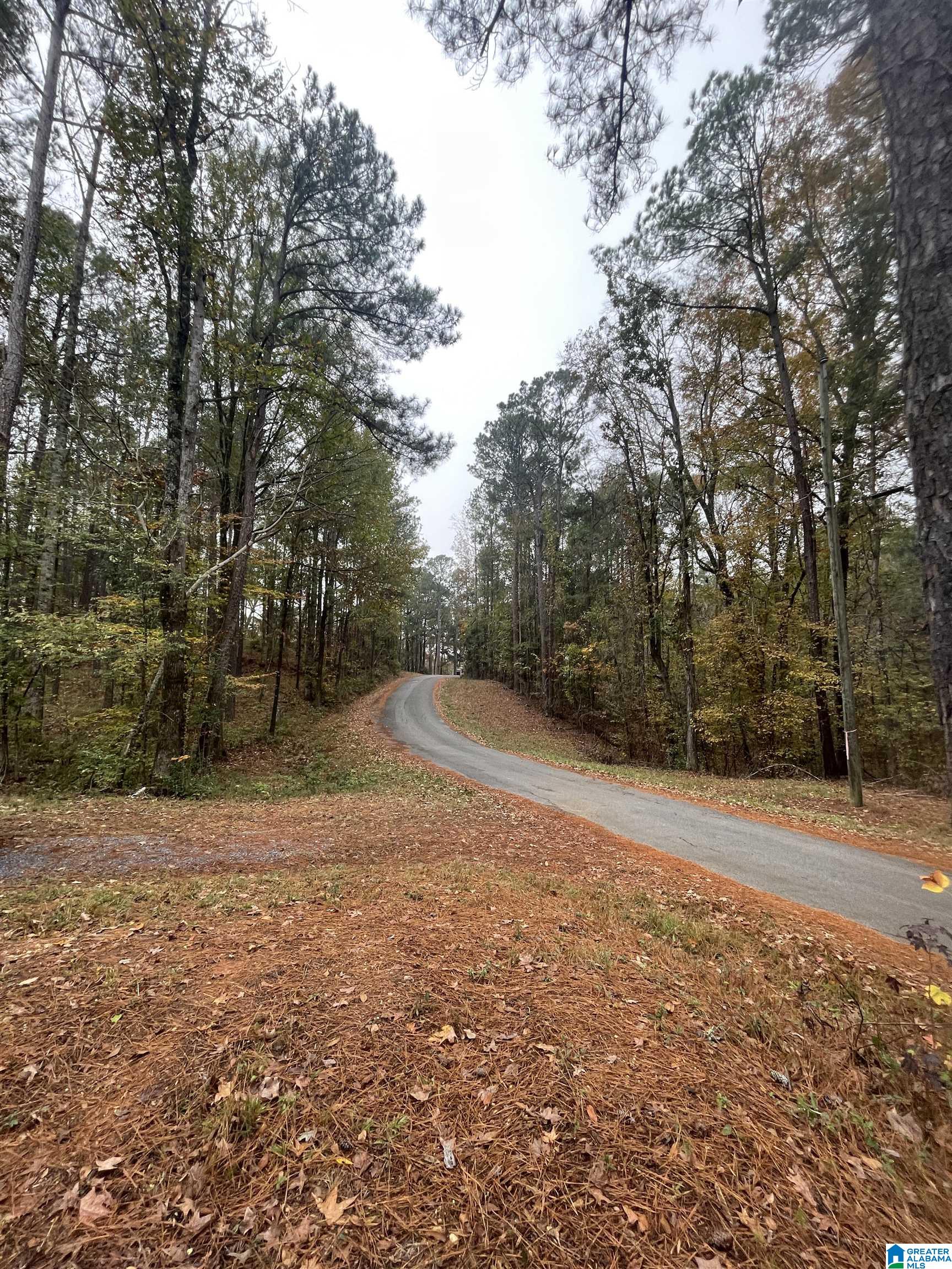 0 Coosa Road, Unit 170 Titus, AL 36080 - Photo 1 of 4
