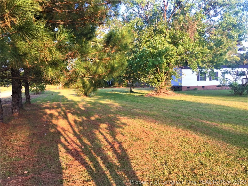 4211 Chicken Foot Road St. Pauls, NC 28384 - Photo 22 of 22 Gallery Image 22