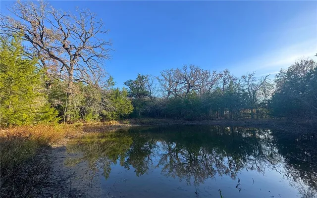 a view of a lake in between two trees