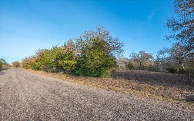 a view of a dry yard with trees