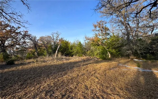 a view of a yard with a tree