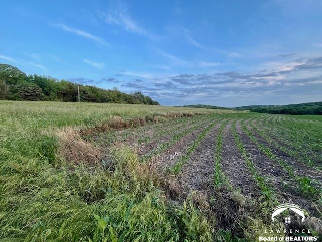 10.01 Acres M/l North 800th Road Baldwin City, KS 66006 - Photo 8 of 11