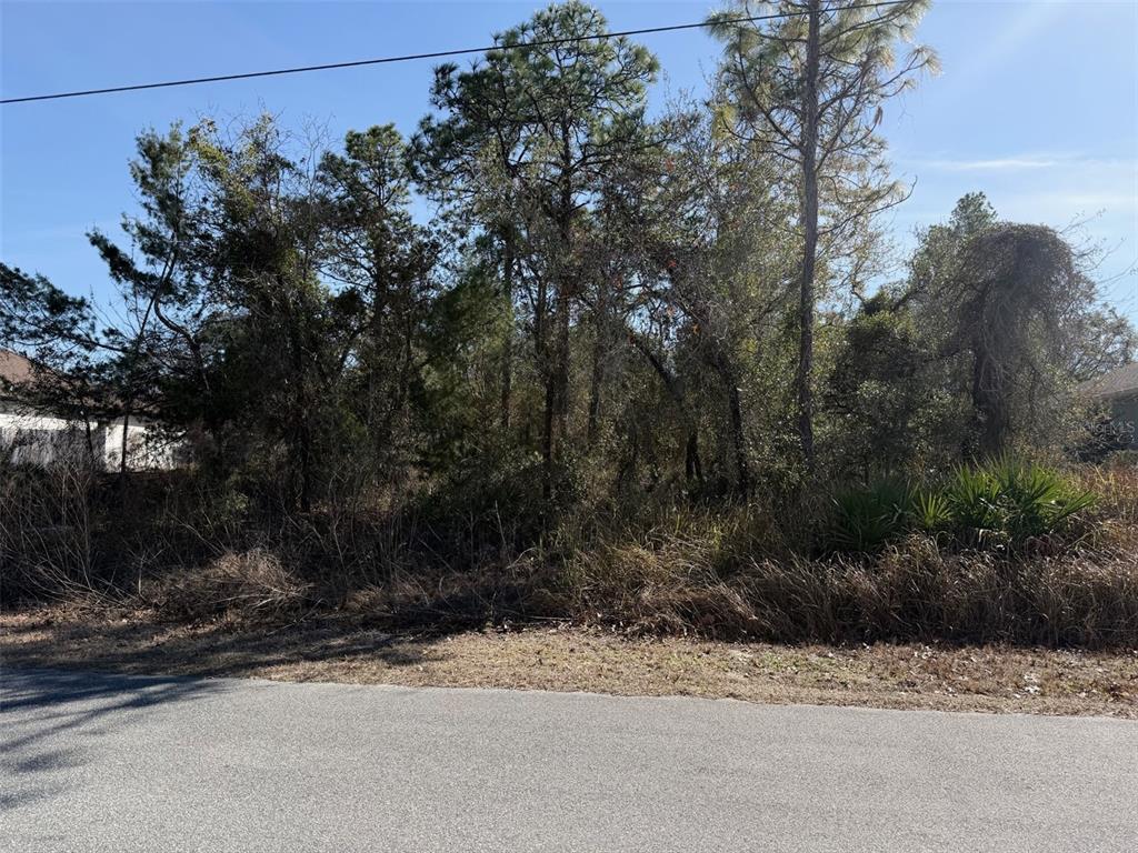 0 Godwit Avenue Weeki Wachee, FL 34613 - Photo 2 of 4