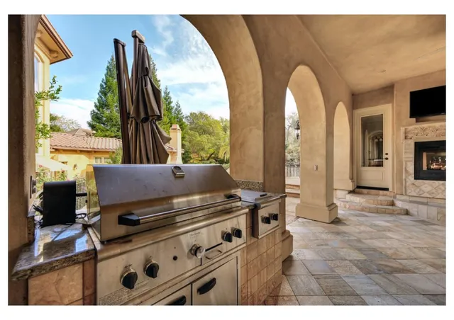 a view of a garden with plants