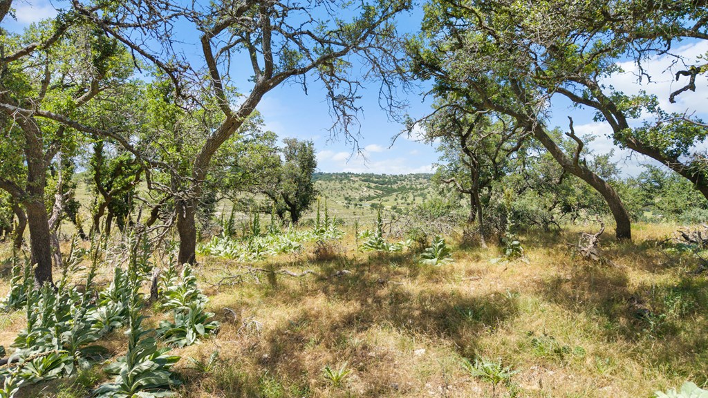 5032 Kendalia Road Blanco, TX 78606 - Photo 12 of 40 a view of a yard of a house