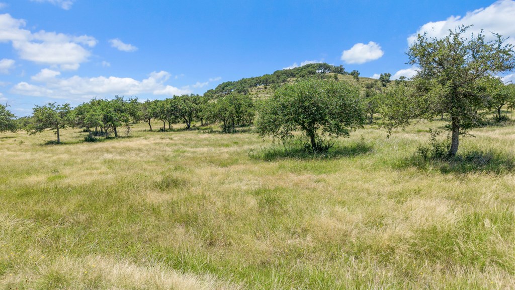 5032 Kendalia Road Blanco, TX 78606 - Photo 4 of 40 a view of a yard