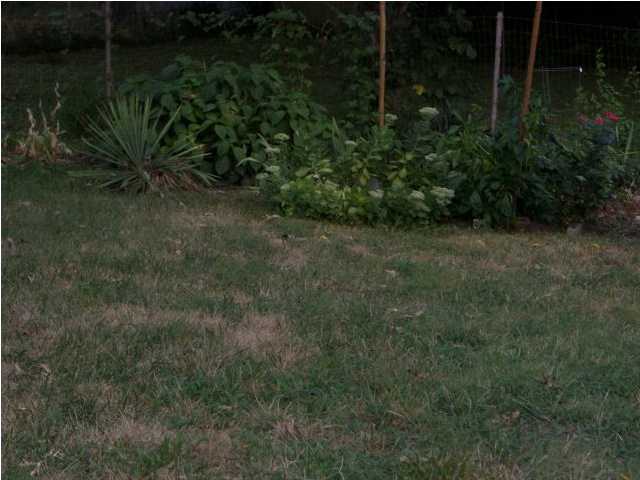 5349 Greenbriar Road Chattanooga, TN 37412 - Photo 4 of 6 Additional Photo