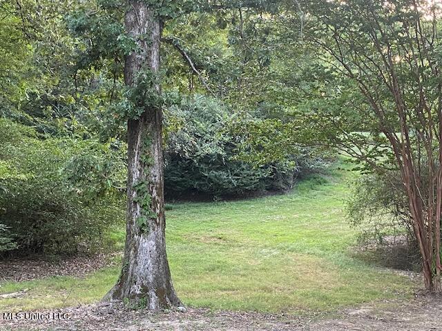 1335 McIngvale Road Hernando, MS 38651 - Photo 16 of 16 IMG_6268