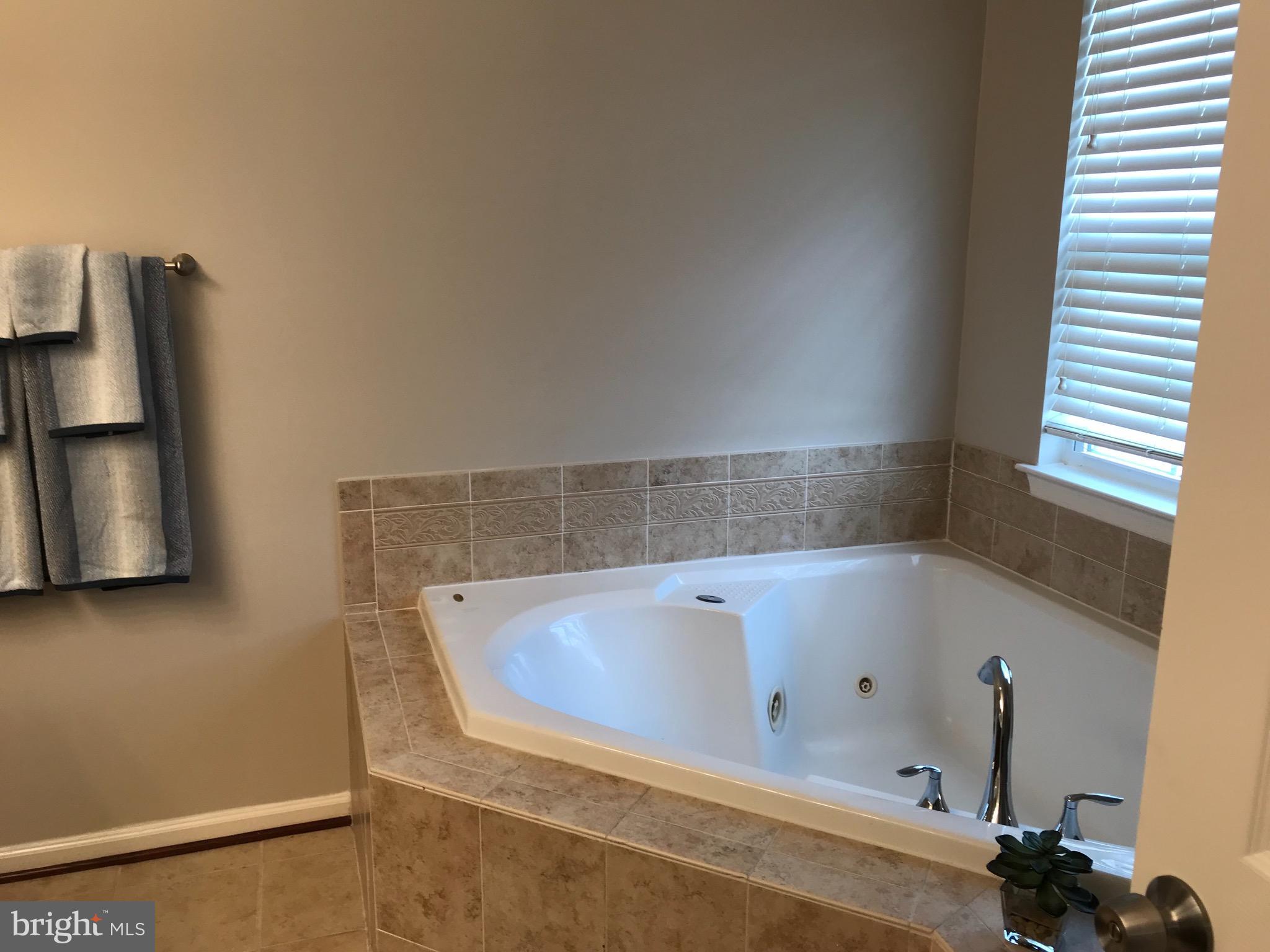 9884 Decatur Road Baltimore, MD 21220 - Photo 11 of 15 Bath (Master)