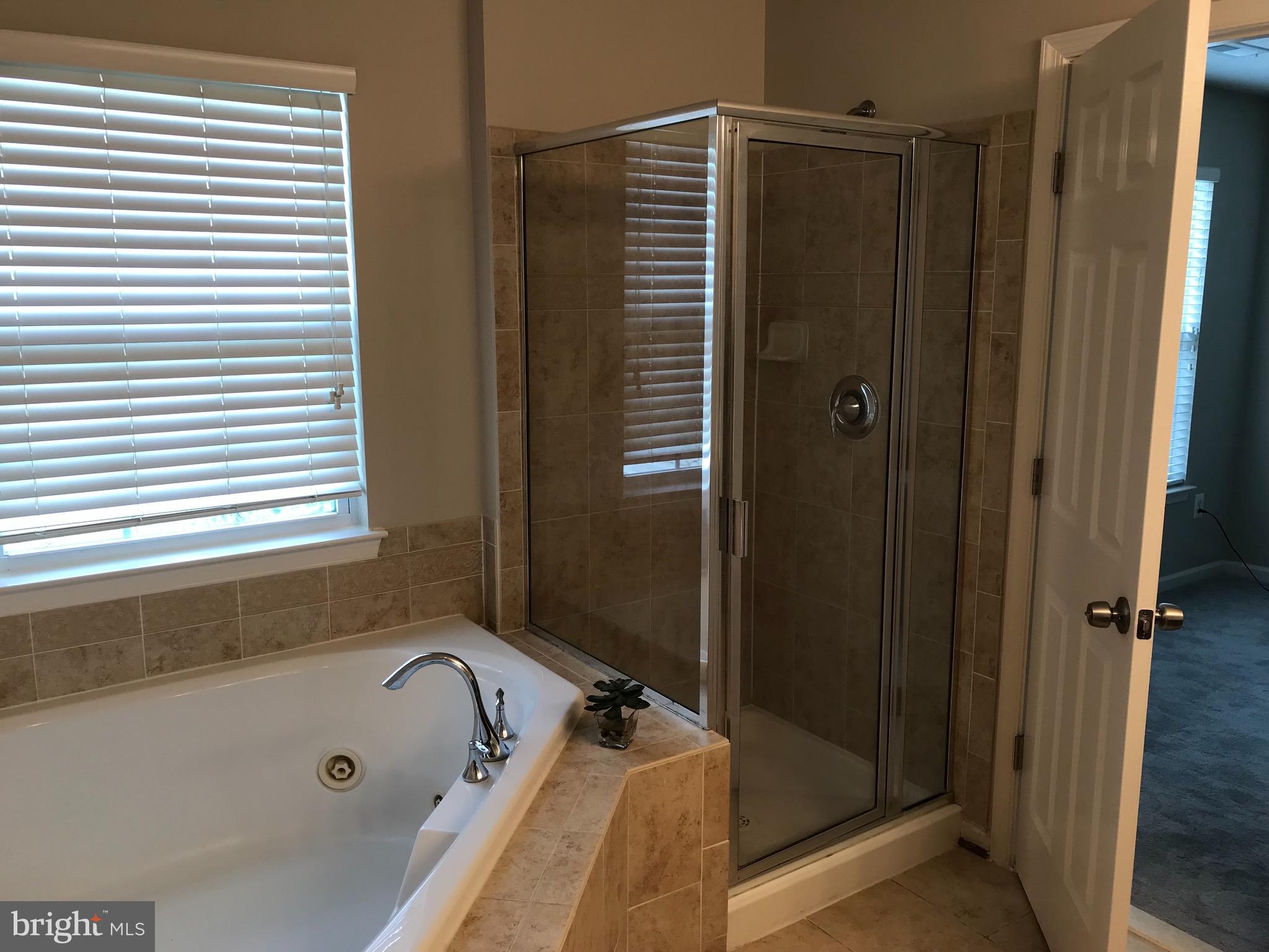 9884 Decatur Road Baltimore, MD 21220 - Photo 12 of 15 Bath (Master)