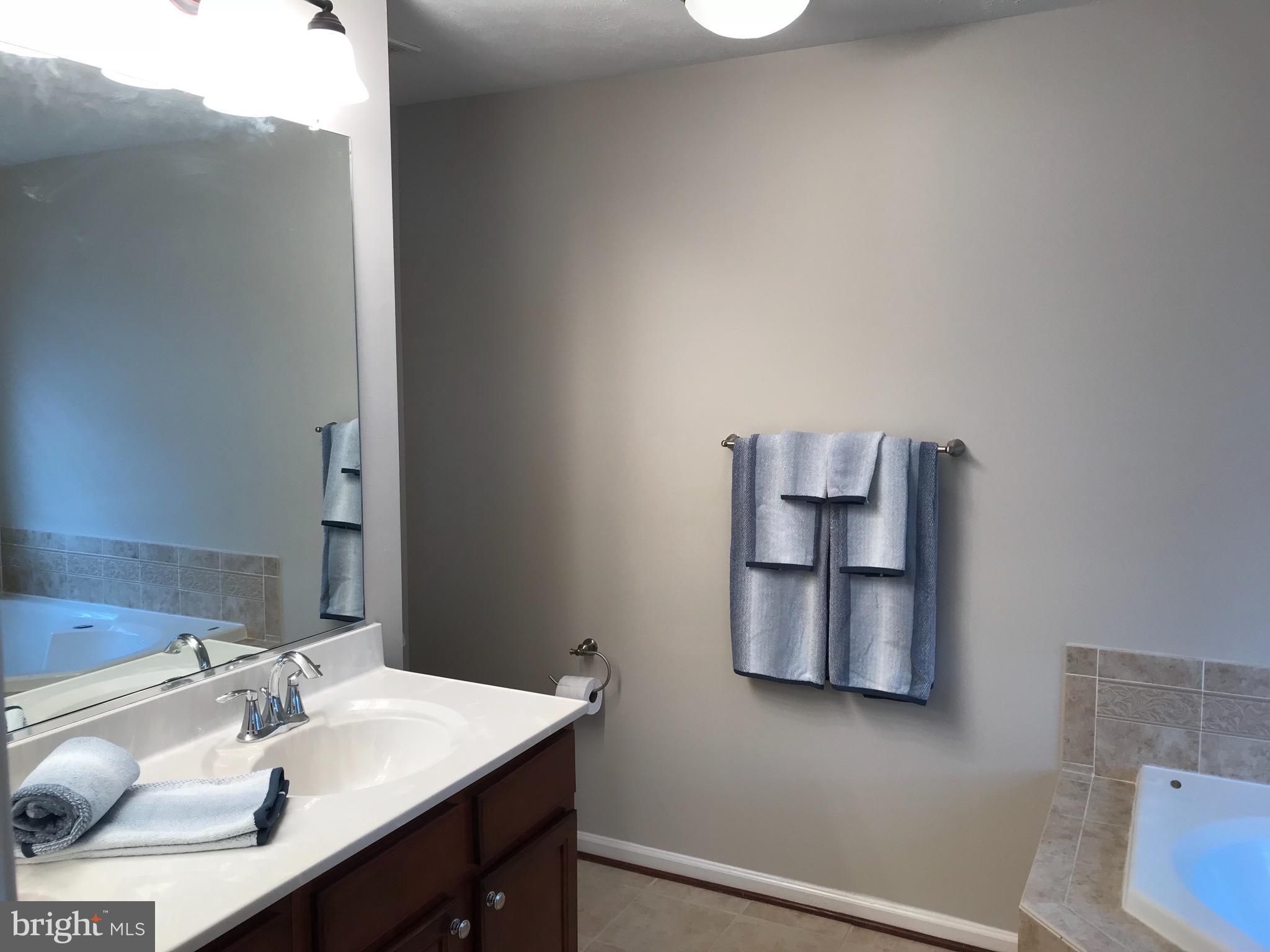 9884 Decatur Road Baltimore, MD 21220 - Photo 10 of 15 Bath