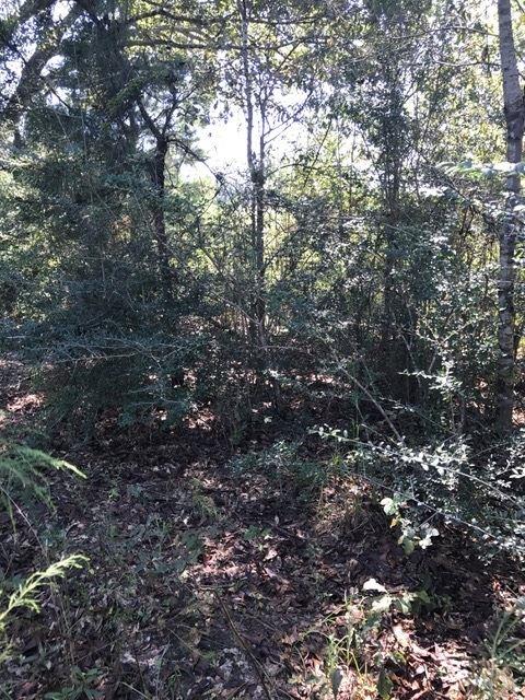 1 Kavanaugh Road Milton, FL 32570 - Photo 1 of 1