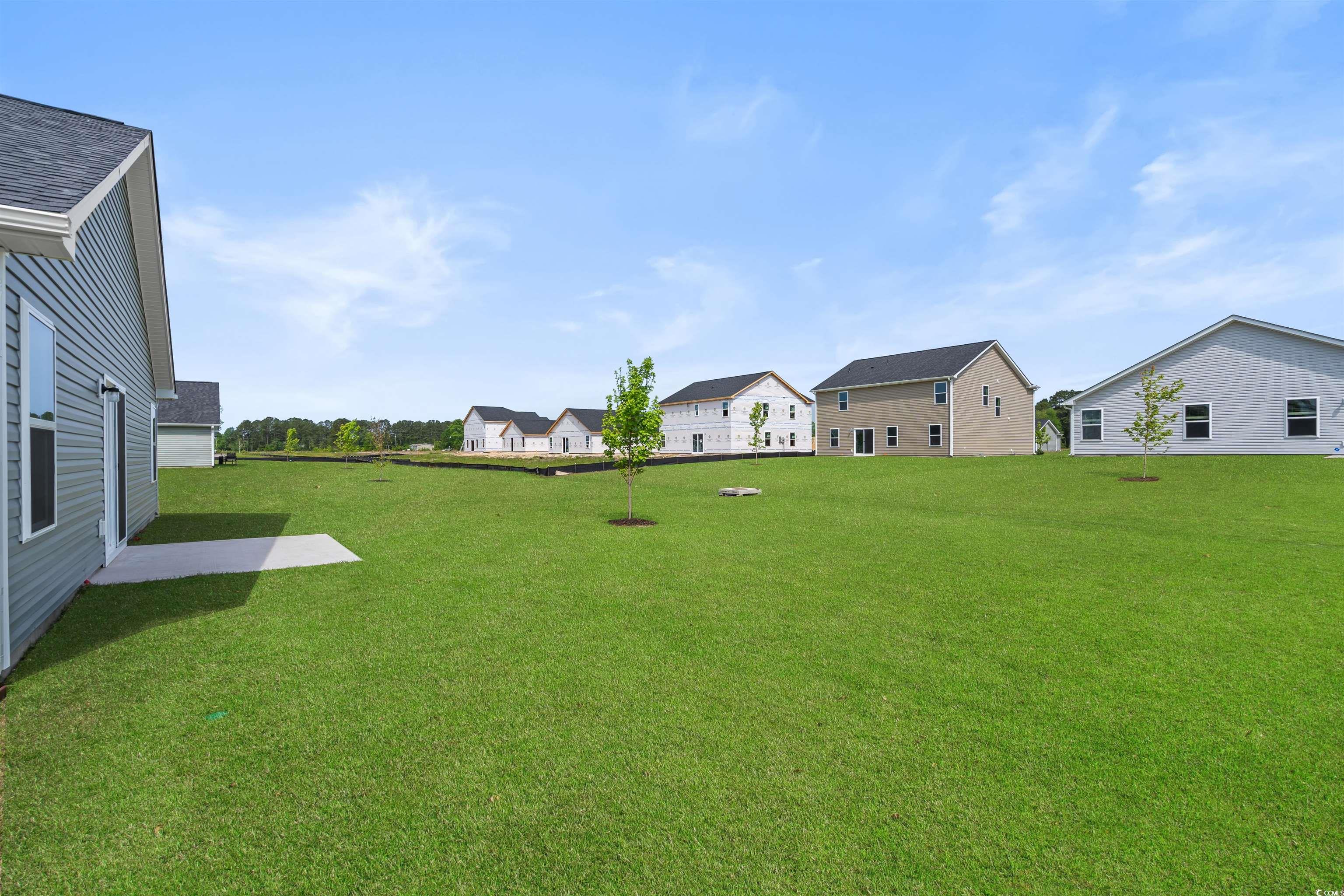 16 Cpe Pt Drive Conway, SC 29527 - Photo 9 of 36